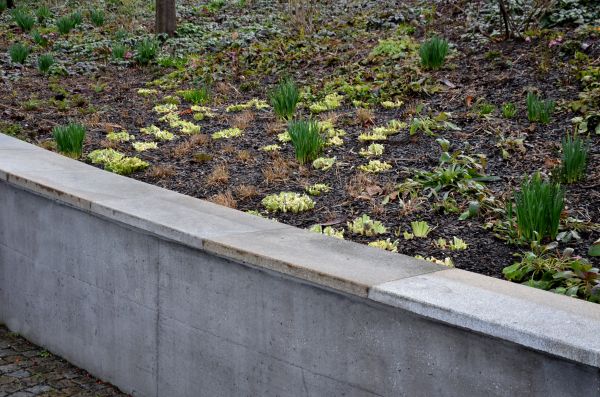Concrete Wall Construction in Truckee