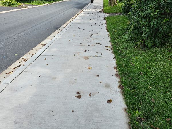 Sidewalk Renovation in Truckee
