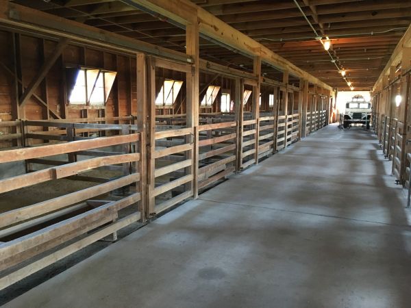 Barn Floor Pouring in Truckee