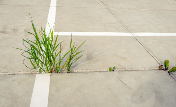 Concrete Parking Installation in Truckee