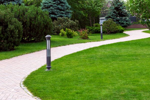 Backyard Sidewalk Installation in Truckee